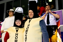 Cricket and Mr Plod in the stands